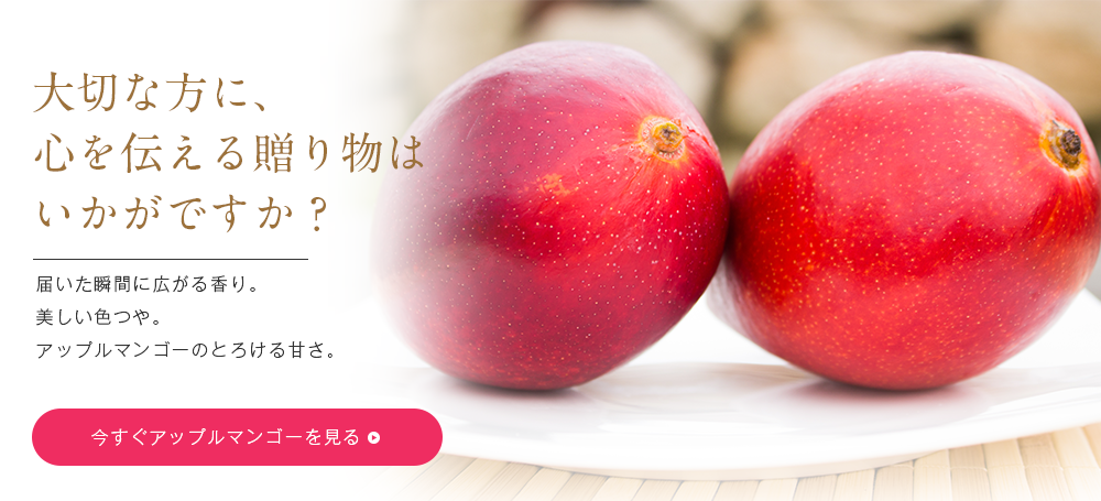 沖縄のマンゴー通販｜幻のマンゴーを農家が販売、直送！ - 沖縄の