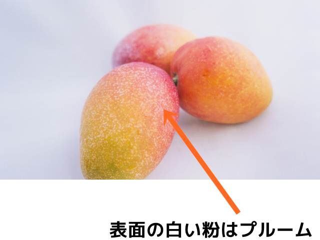 おいしいマンゴーの選び方と保存方法 - 沖縄のマンゴーの通販・販売は那覇マンゴー園 おいしいマンゴーの選び方と保存方法 - 沖縄のマンゴーの通販・販売は那覇マンゴー園