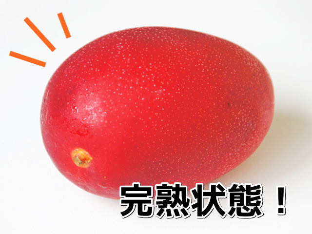 完熟したマンゴーは、色ツヤがよく、べとべとします