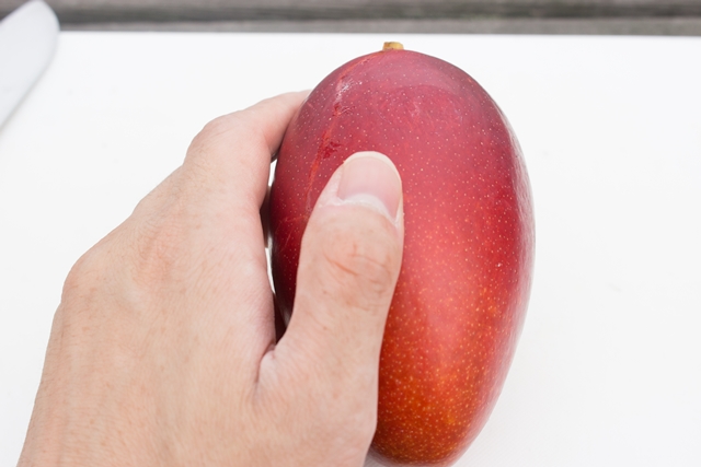 アップルマンゴーの果皮がやわらかくなると食べごろです